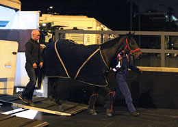 Gordon Lord Byron (LONGINES Hong Kong Sprint)