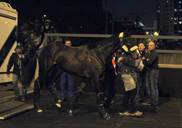 Snow Sky (LONGINES Hong Kong Vase)