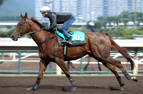 ABLE FRIEND – Trackwork with Joao Moreira on board on December 8