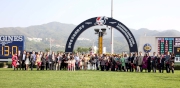 Photo5,  Photo 6,  Photo 7,  Photo 8,<br>
Aerovelocity��s happy jockey Zac Purton, trainer Paul O��Sullivan and representatives of the owner Lord Horse Club celebrate their success after taking the LONGINES Hong Kong Sprint.