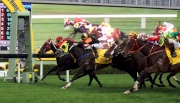 Photo 1, 2, 3<br>
Hong Kong runner Arpinati (No 9, in red/black stripes), trained by John Moore and ridden by Joao Moreira, edges Pikachu (No 11, in black/yellow) to win the HKG3 Hong Kong Macau Trophy at Sha Tin racecourse today.