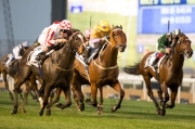 Photo 1, 2<br>
Hong Kong runner Peniaphobia (yellow cap), trained by Tony Cruz and ridden by Douglas Whyte, is defeated by Sole Power (horse No 7) and finishes second in the G1 Al Quoz Sprint (turf, 1000m) at Meydan racecourse, Dubai, Saturday (28 March) night. Two other Hong Kong runners Amber Sky and Bundle Of Joy finish fourth and fifth respectively in this race.