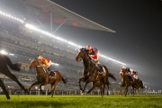 香港代表「威爾頓」（7號馬）在一級賽杜拜司馬經典賽（草地2410米）中跑獲殿軍。法國佳駟「多麗盈」奪得冠軍。
