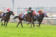 Aerovelocity (No.4) ridden by Jockey Zac Purton beats Japanese runners Hakusan Moon (No. 15) and Mikki Isle (No. 16) in the Takamatsunomiya Kinen in Japan today, becoming the first overseas horse to win in this Group 1 1200M race.