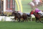 Photo 1, 2<br>
Harbour Master (No. 6), trained by John Moore and ridden by Joao Moreira, wins the Premier Plate (HKG3-1800M) at Sha Tin Racecourse today.  Mr Gnocchi (No. 13) and Packing Llaregyb (No.11) finish second and third respectively.