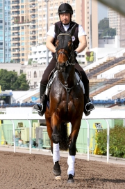 Japanese runner Staphanos steps onto the Sha Tin track for the first time after arriving in Hong Kong earlier today.