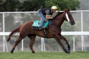 Able Friend �V with Joao Moreira on board