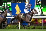 Tommy Berry partners the John Moore-trained DAN EXCEL to victory in the Singapore Airlines International Cup (Group 1, 2000m) at Kranji Racecourse, Singapore today.  