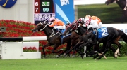 Photo 1, 2, 3<br>
Tony Cruz-trained Helene Super Star (No. 4, in orange/pink), ridden by Douglas Whyte, fends off the late challenge of Dominant (No.2, in white/maroon) and Helene Happy Star (No. 6, in red) to win the Standard Chartered Champions & Chater Cup (G1 2400m) at Sha Tin Racecourse today.
