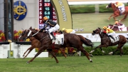 Photo 1, 2, 3<br>
Able Friend (No.1), ridden by Karis Teetan and trained by John Moore, scores in the Premier Bowl (HKG2 �V 1200M). Gold-Fun (No.2) and Peniaphobia (No. 5) finished second and third respectively.
