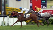 圖1, 2<br>
由蔡約翰訓練、莫雷拉策騎的「詠彩繽紛」（10號馬），壓倒「大印銀紙」（13號馬），勝出今日於沙田馬場舉行的香港三級賽慶典盃（1400米）。
