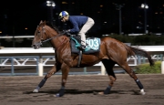Able Friend �V with Joao Moreira on board