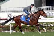 Maurice �V with Ryan Moore on board