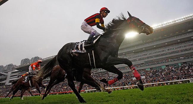 A Shin Hikari  (No. 11) takes the LONGINES Hong Kong Cup (Group 1, 2000m) at Sha Tin Racecourse today for trainer M Sakaguchi and jockey Y Take.