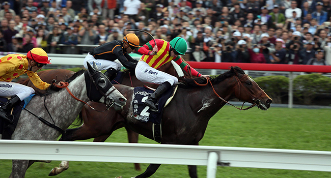 Ryan Moore partners the N Hori-trained Maurice to victory in the LONGINES Hong Kong Mile (Group 1, 1600m) at Sha Tin Racecourse today.	 