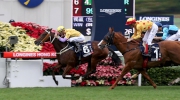 Photo 1, 2, 3<br>
Tony Cruz-trained Peniaphobia (No.6) under Joao Moreira defeats Gold-Fun (No.1) to win the G1 LONGINES Hong Kong Sprint, also the final leg of 2015 Global Sprint Challenge, at Sha Tin Racecourse today.
