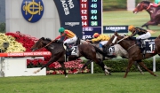 Photo 1, 2, 3, 4<br>
Maurice (No.2) with Ryan Moore in the saddle claims the LONGINES Hong Kong Mile (Group 1-1600M).
