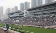 Photo 15, 16
Huge crowds of fans at the Sha Tin Racecourse on the LONGINES Hong Kong International Races Day.