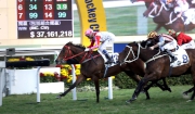 Photos 1, 2<br>
Dennis Yip-trained Secret Weapon (No. 12), with Douglas Whyte in the saddle, wins the Centenary Vase (HKG3-1800m) at Sha Tin Racecourse today.
