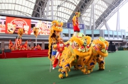 Photo 6, 7<br>
Spectacular dragon and lion dancing summons good fortune and pumps up the festive mood. 

