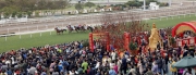 Photo 23, 24<br> 
A huge crowd at the grandstands on the Chinese New Year Raceday.
