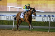 Michael Chang-trained Rich Tapestry, with Gerald Mosse on board, makes all to win the G3 Al Shindagha Sprint (1200m) at Meydan last month.