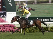 Photo 1, 2, 3, 4<br>
Top class runners compete in the Audemars Piguet QEII Cup (Group 1, 2000m) at Sha Tin Racecourse today. The Hugh Bowman-ridden Werther (No.10), representing Hong Kong, cruises home to win this HK$20 million event.

