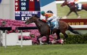 Photos 1, 2, 3, 4<br>
Japanese runner Maurice (No. 1), trained by Noriyuki Hori and ridden by Joao Moreira, wins the Group 1 Champions Mile at Sha Tin Racecourse today. Contentment and Packing Pins finish second and third respectively in this HK$14 million event.
