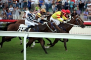 Twin Delight (in yellow) lands an upset win in the Kwangtung Handicap Cup earlier this season.