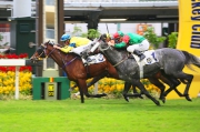 The Benno Yung-trained Precision King takes the day��s feature, the Hong Kong Golf Club Centenary Cup Handicap, under Nash Rawiller