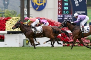 Winston��s Lad took his second Hong Kong win in a Class 3 1200m event at Sha Tin back in December 2015.