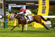 Rugby Diamond notched his maiden win in Hong Kong in a Class 5 1200m event at Happy Valley late last season.