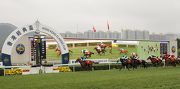 Photos 1, 2, 3<br>
The Joao Moreira-ridden Rapper Dragon (No. 1), trained by John Moore, wins the Hong Kong Classic Cup (1800m), second leg of the Hong Kong Four-Year-Old Series, at Sha Tin Racecourse today. 