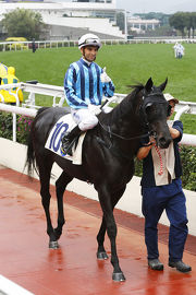 Joao Moreira returns to the winners�� circle aboard David Hall-trained Mambo Rock, one of five winners on the card for the Brazilian rider.