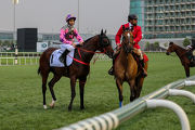 The John Size-trained Amazing Kids keeps on for sixth in the G1 Al Quoz Sprint at Meydan tonight.