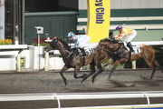 The Paul O��Sullivan-trained Goldie Flanker (No. 9) completes his third successive win in the first section of the Class 4 Hap Mun Bay Handicap (1200m).