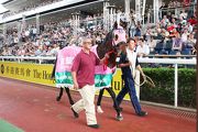 Aerovelocity parades for the last time at Sha Tin Racecourse in front of his faithful fans.