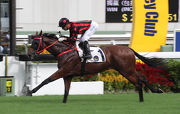 Photo 1, 2<br>
The John Size-trained Thewizardofoz storms home to take the G3 Premier Cup Handicap (1400m) at Sha Tin Racecourse today.
