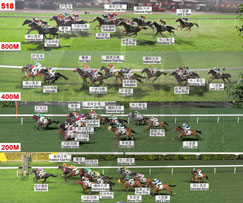 Hong Kong Jockey Club Race Schedule 2011
