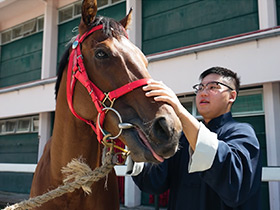 [新馬主：馳騁夢想] 蘇志康先生 -「和平波」