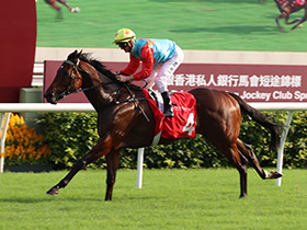 [中銀香港私人銀行馬會短途錦標] 賽事重溫