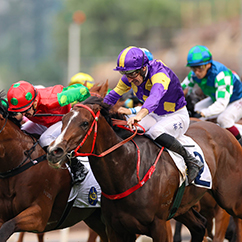 Helios Express triumphs as John Size extends lead in trainers’ championship