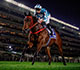 “Welcome Home, Our Global Champion – Romantic Warrior” ceremony to be held on Sunday