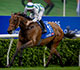 Standard Chartered Champions & Chater Cup Photo Release