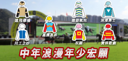 中年浪漫年少宏願