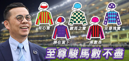 至尊駿馬數不盡