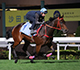 Romantic Warrior oozing confidence for G1 LONGINES Hong Kong Cup