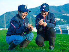 [浪琴香港國際賽事] 世界級舞台！沙田馬場的草地管理