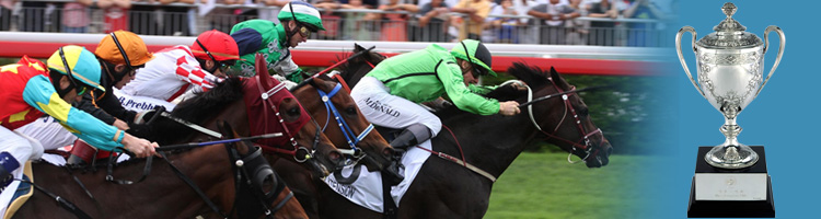 過往賽果及重播 寶馬冠軍一哩賽 賽馬資訊 香港賽馬會