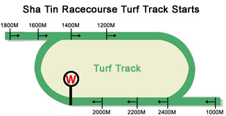 Sha Tin Racecourse